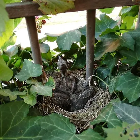 Hiwya - Is Where Are Appartement *