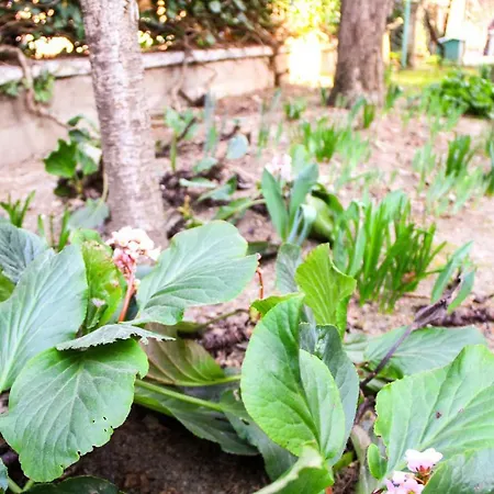 Hiwya - Is Where Are