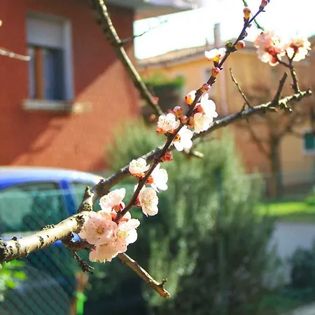 Hiwya - Is Where Are Appartement