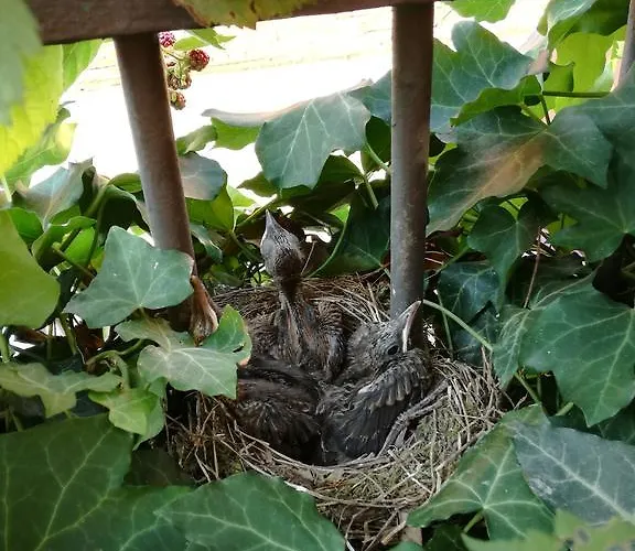 Hiwya - Is Where Are 아파트 *