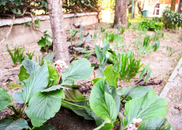 Hiwya - Is Where Are