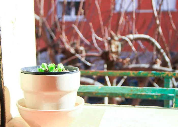 Διαμέρισμα Hiwya - Is Where Are *