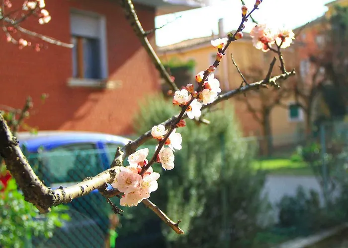 Hiwya - Is Where Are Διαμέρισμα